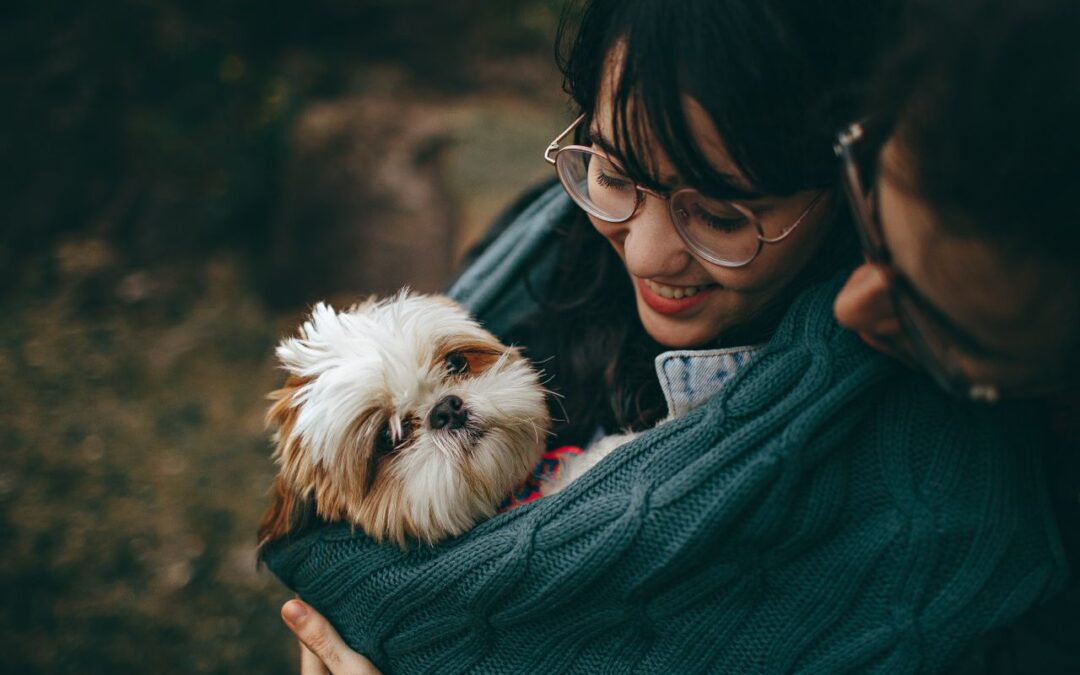 Une femme souriante à lunettes et son compagnon tiennent un petit chien shih tzu enveloppé avec soin dans une couverture en maille bleu canard.